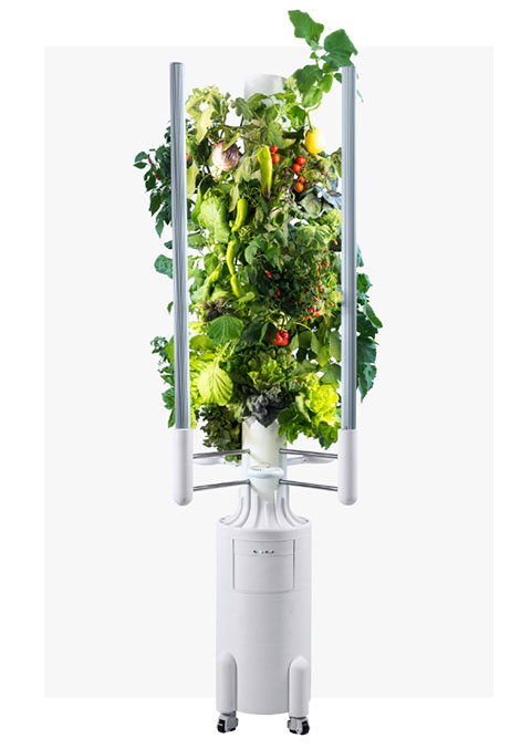 greenygarden_haupt_mobile
